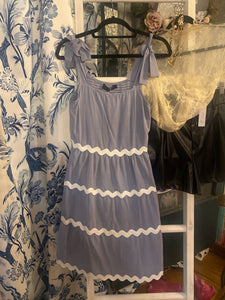 Ric Rac Chambray Dress