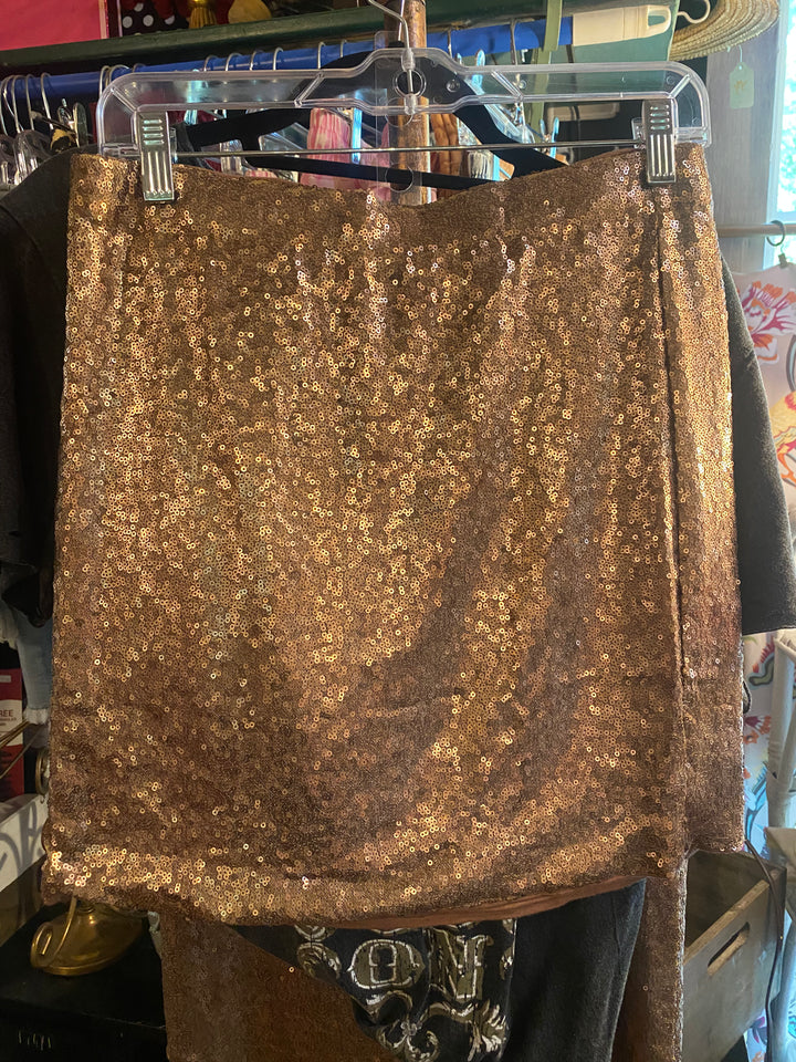 Sequin Skirt