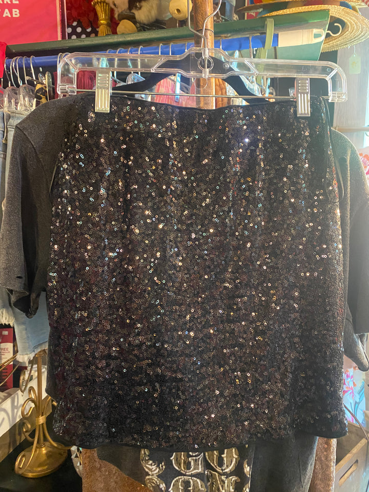 Sequin Skirt
